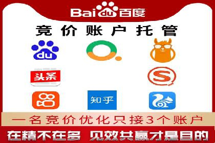 sem推广竞价的智慧与策略：多维度成功案例分析